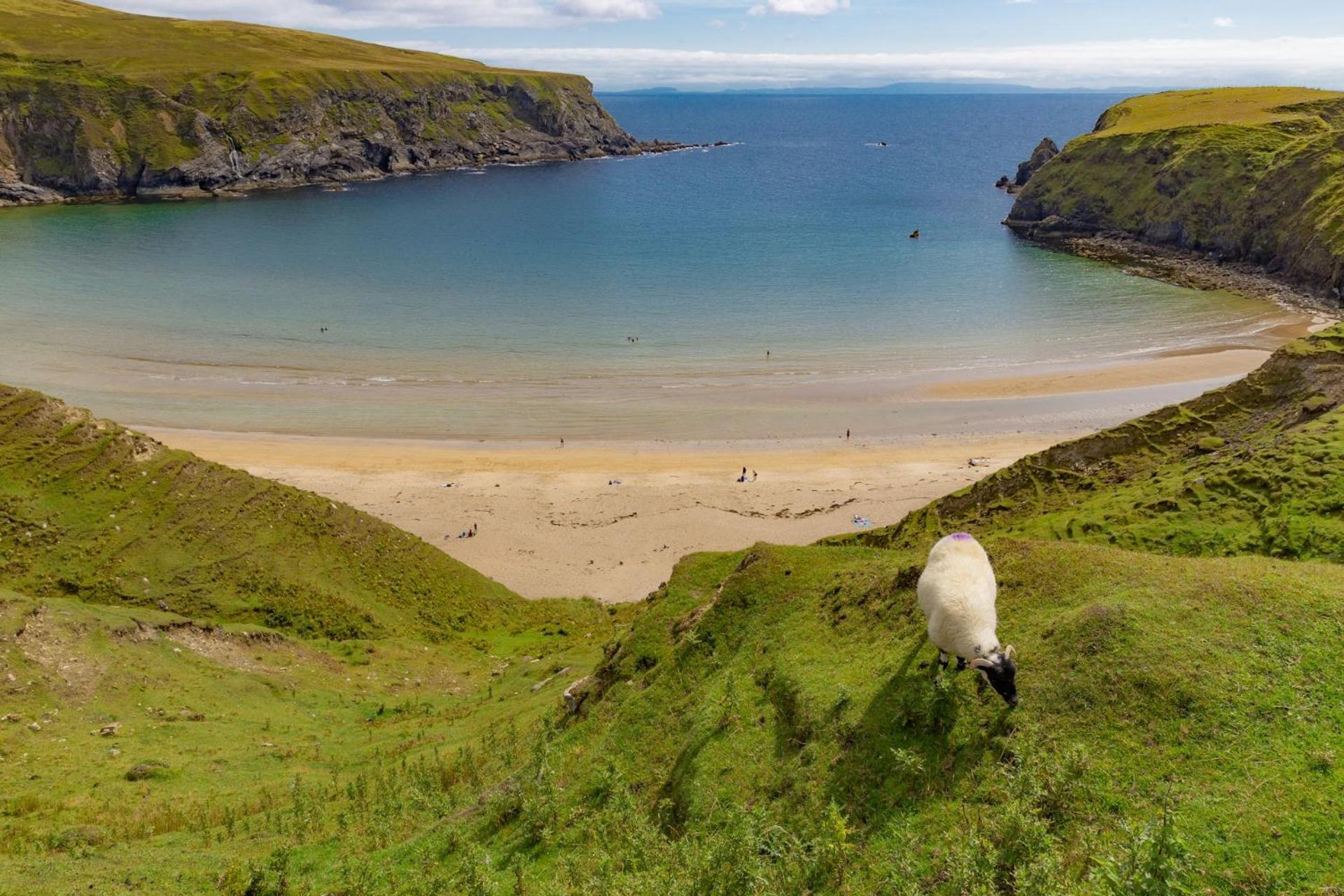 Hollies Hideaway Lejlighed Donegal Town Eksteriør billede